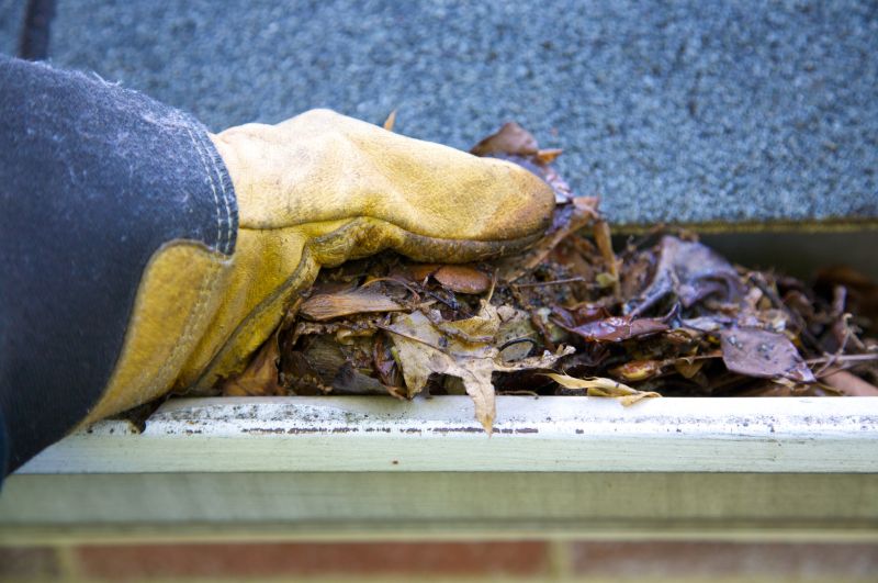Gutter Cleaning in Richmond, VA