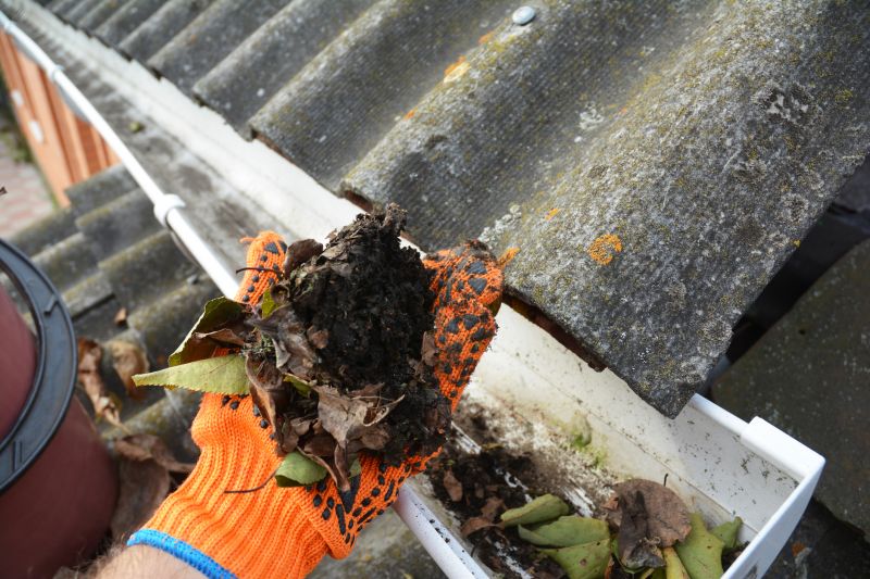 Business Gutter Cleaning in Mcdonough, GA