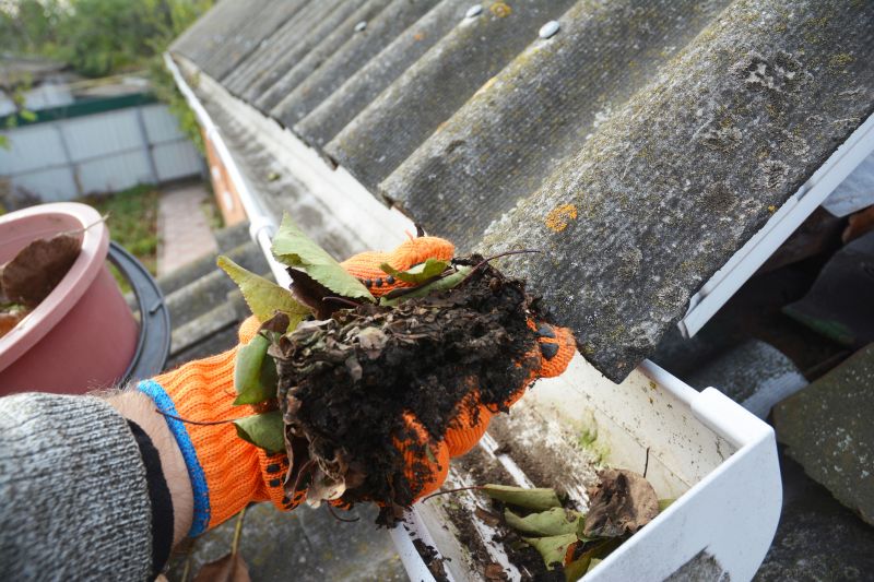 Clogged Gutter Clearing in Longmont, CO