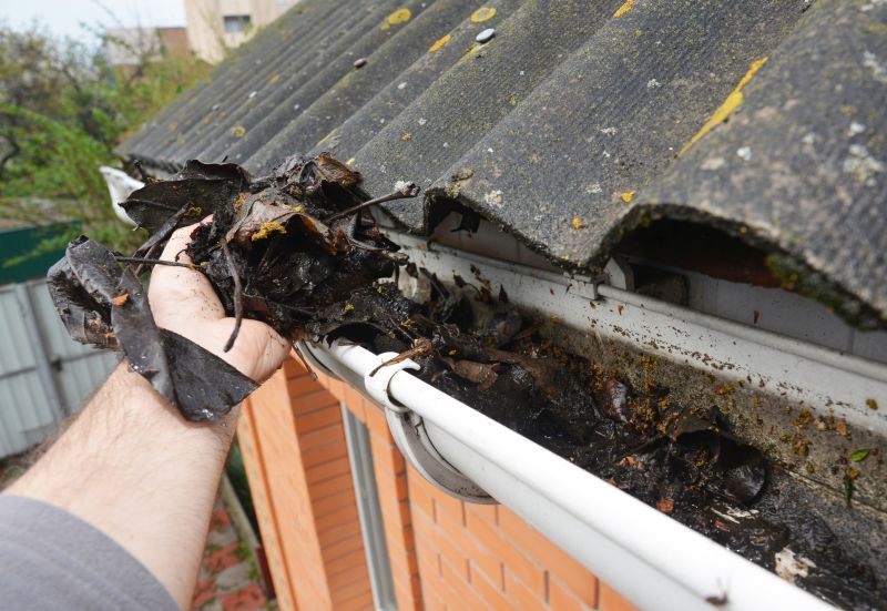 Gutter Leaf Clearing in Morris County, NJ