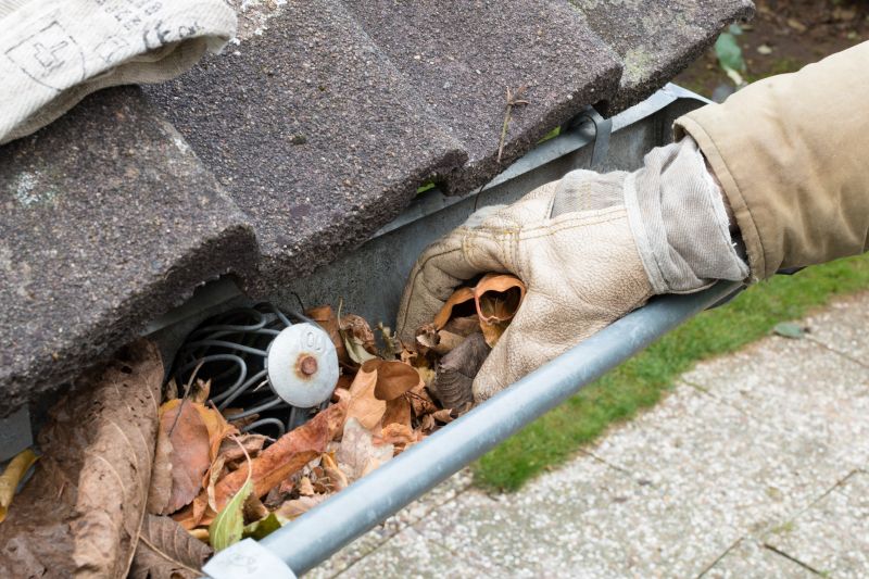 Gutter Leaves Removal in Fredericksburg, VA