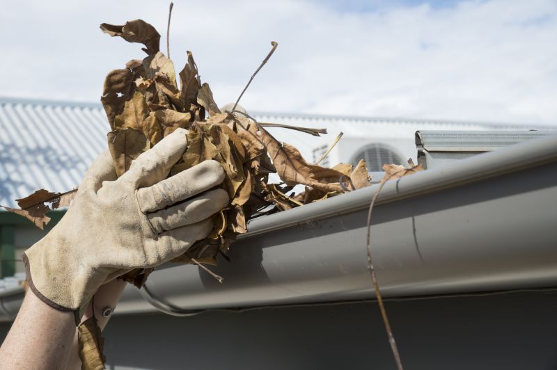 Gutter Leaves Removal in Monmouth County, NJ