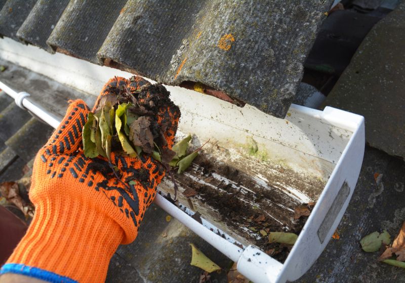 Gutter Maintenance in Frederick, MD