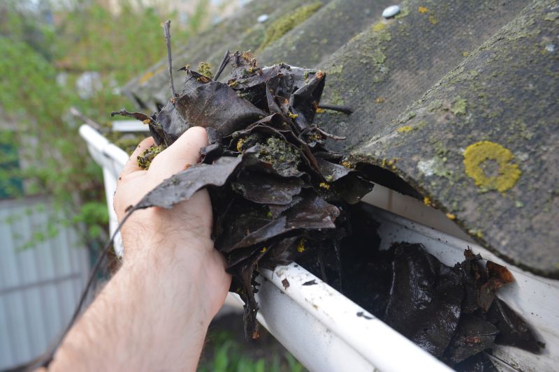 Rain Gutter Clearing in Bergen County, NJ